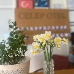 Celep Szálloda