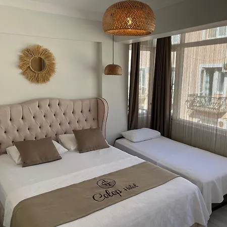 Hotel Celep *