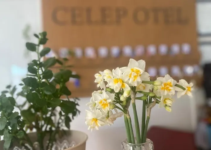 Celep Hotel